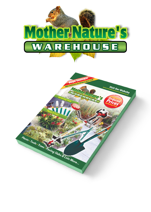 Graphic Design Booklet Design Mother Natures Warehouse